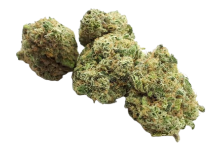 white runtz haze