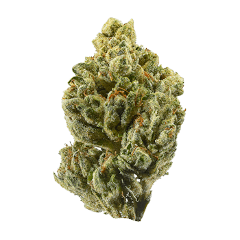 Blueberry OG Kush