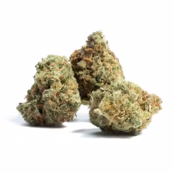 amnesia haze